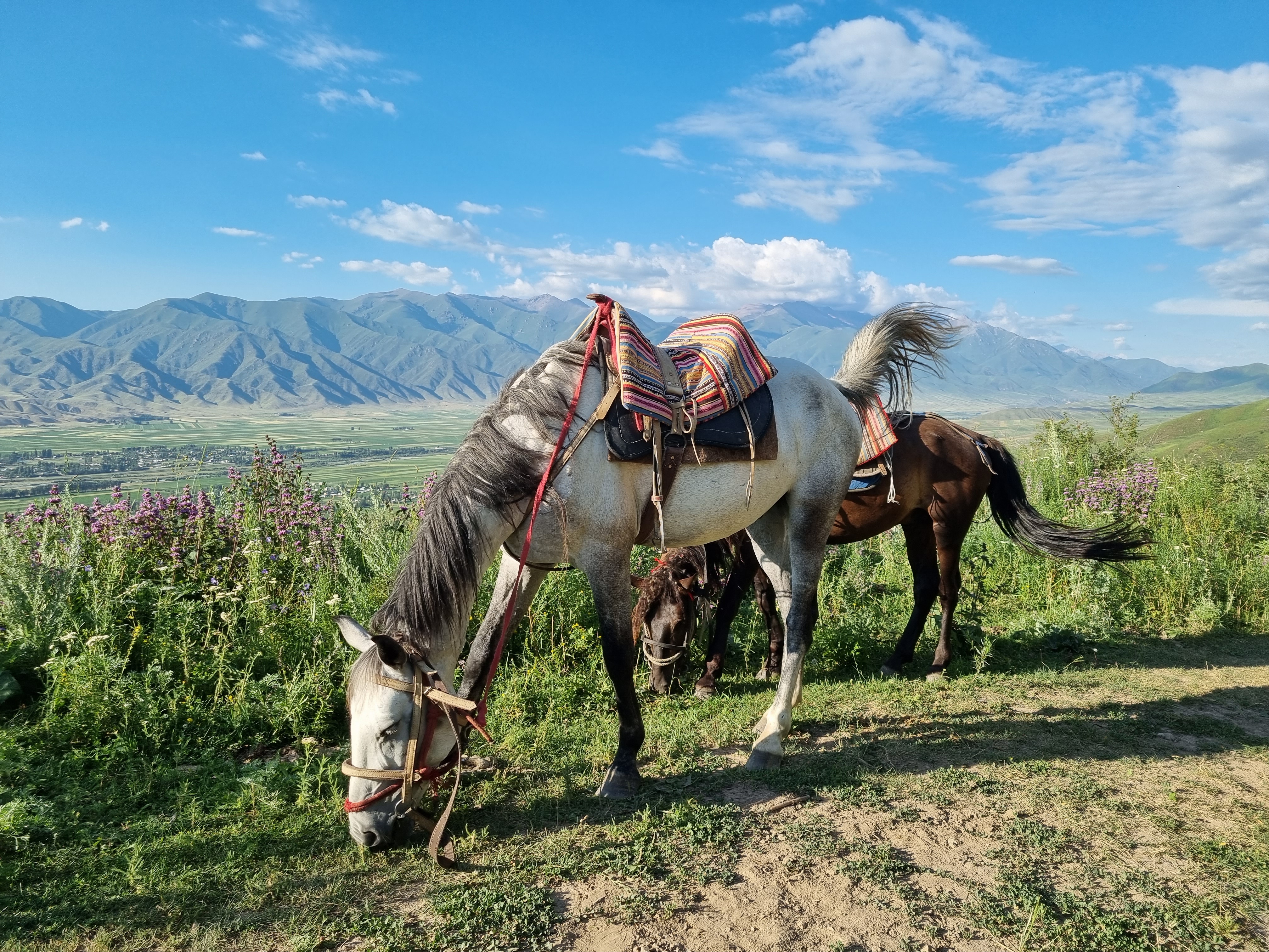Horseback Riding in Jyrgalan